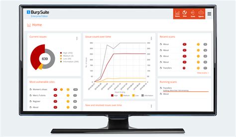 thick client application security testing burp|fat client burp suite.